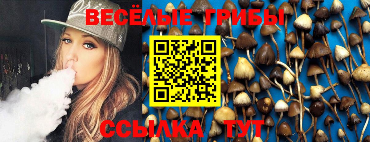 купить наркотик  Галлюциногенные грибы MAGIC MUSHROOMS  Вход с VPN  Новоалтайск 