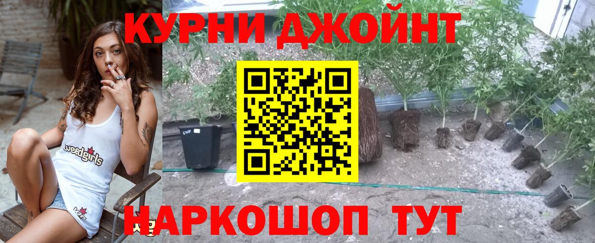Конопля MAZAR  Вход с VPN  Новоалтайск  Бошки Шишки White Widow 